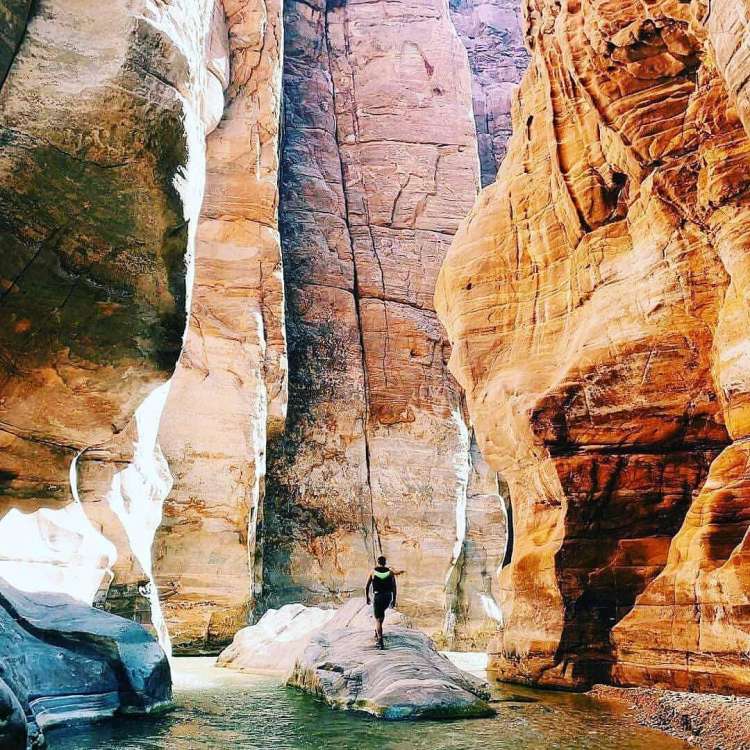Canyon Petra
